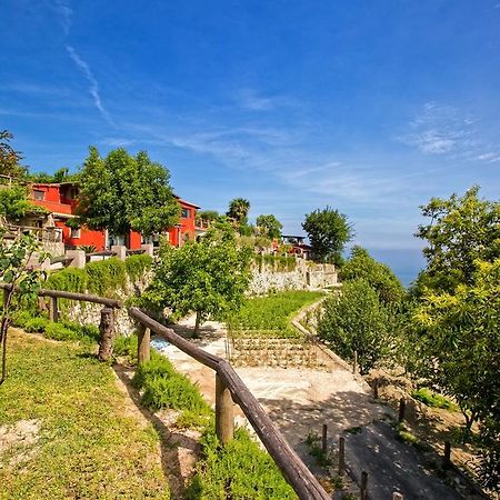 Agriturismo Pera Di Basso Casamicciola Terme Exterior photo